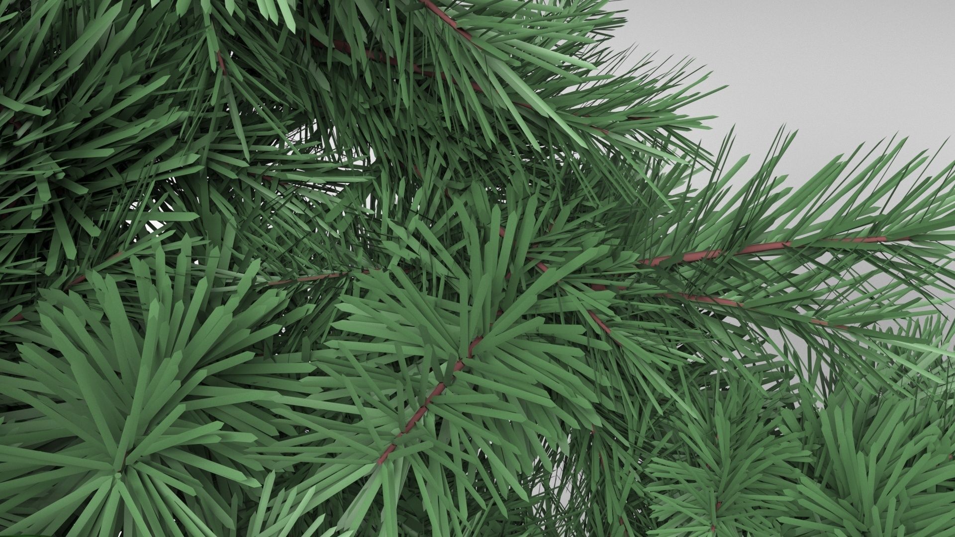 Fir Wreath 3D model_12