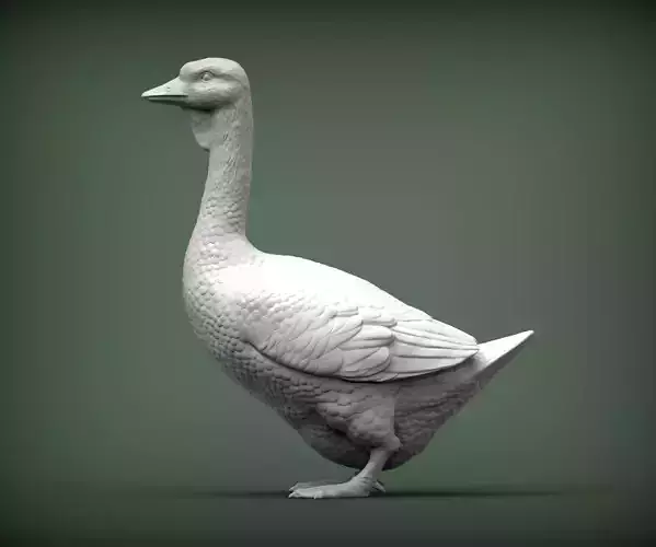 goose 3D print model
