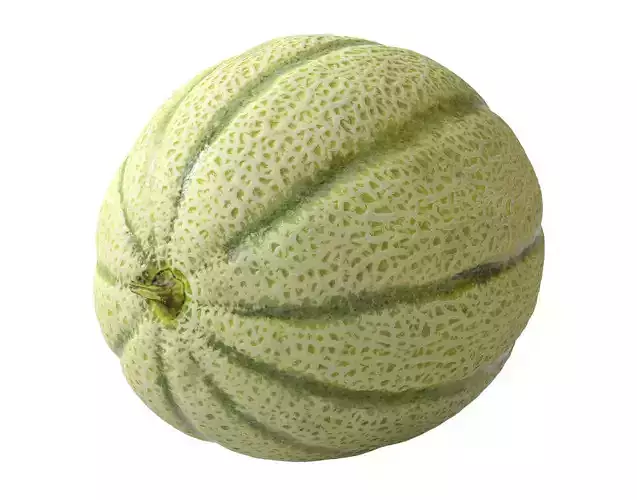 Melon Cantaloupe 3D model