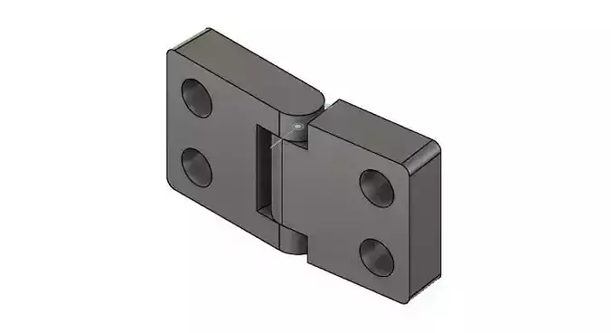 Hinge door with two holes