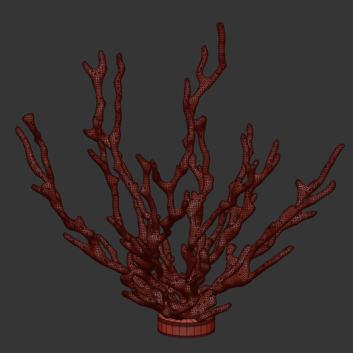 Decor coral 3D model_4