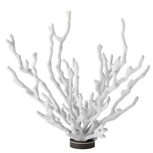 Decor coral 3D model