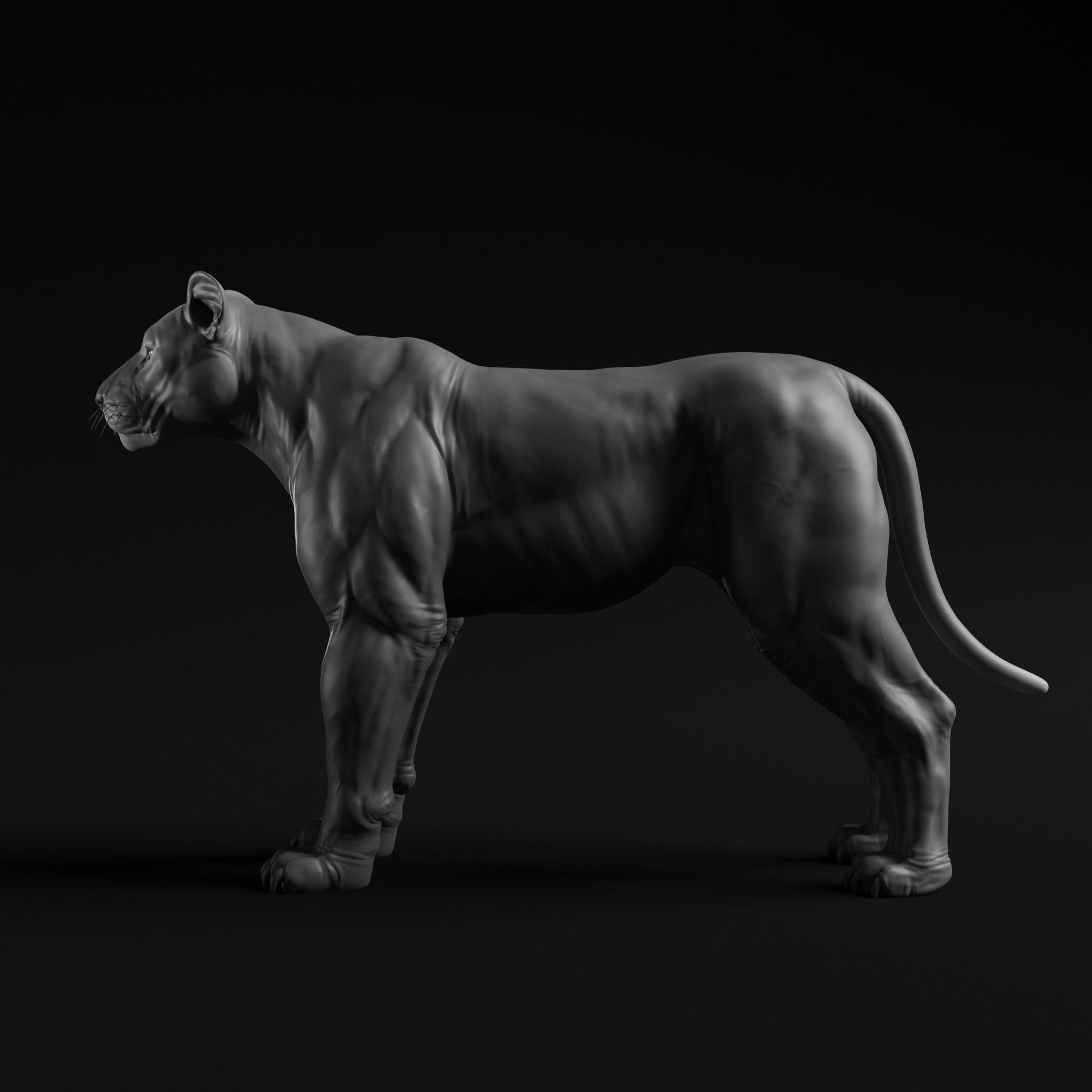 Lion - Highpoly Sculpture 3D model 3D model_2