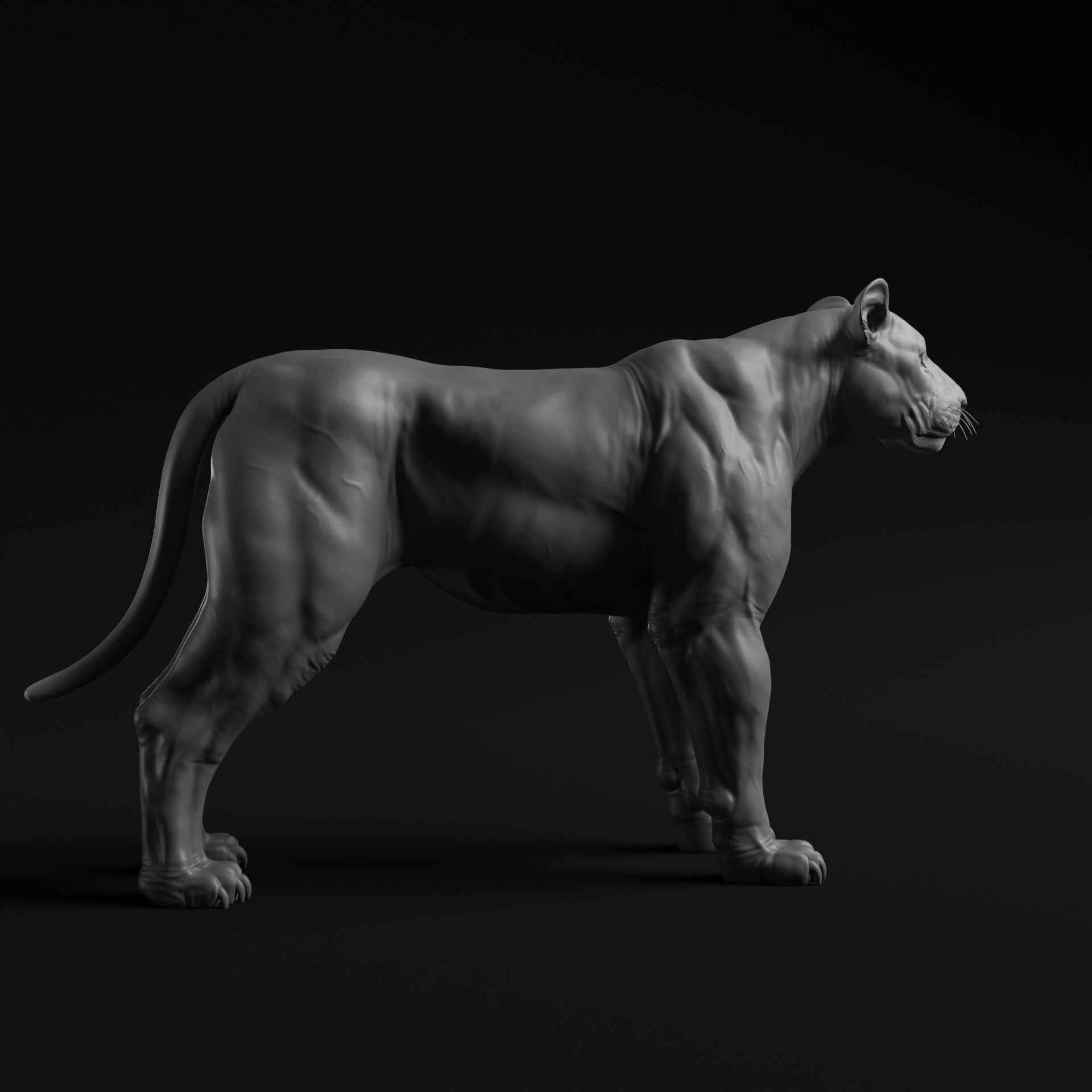 Lion - Highpoly Sculpture 3D model 3D model_11