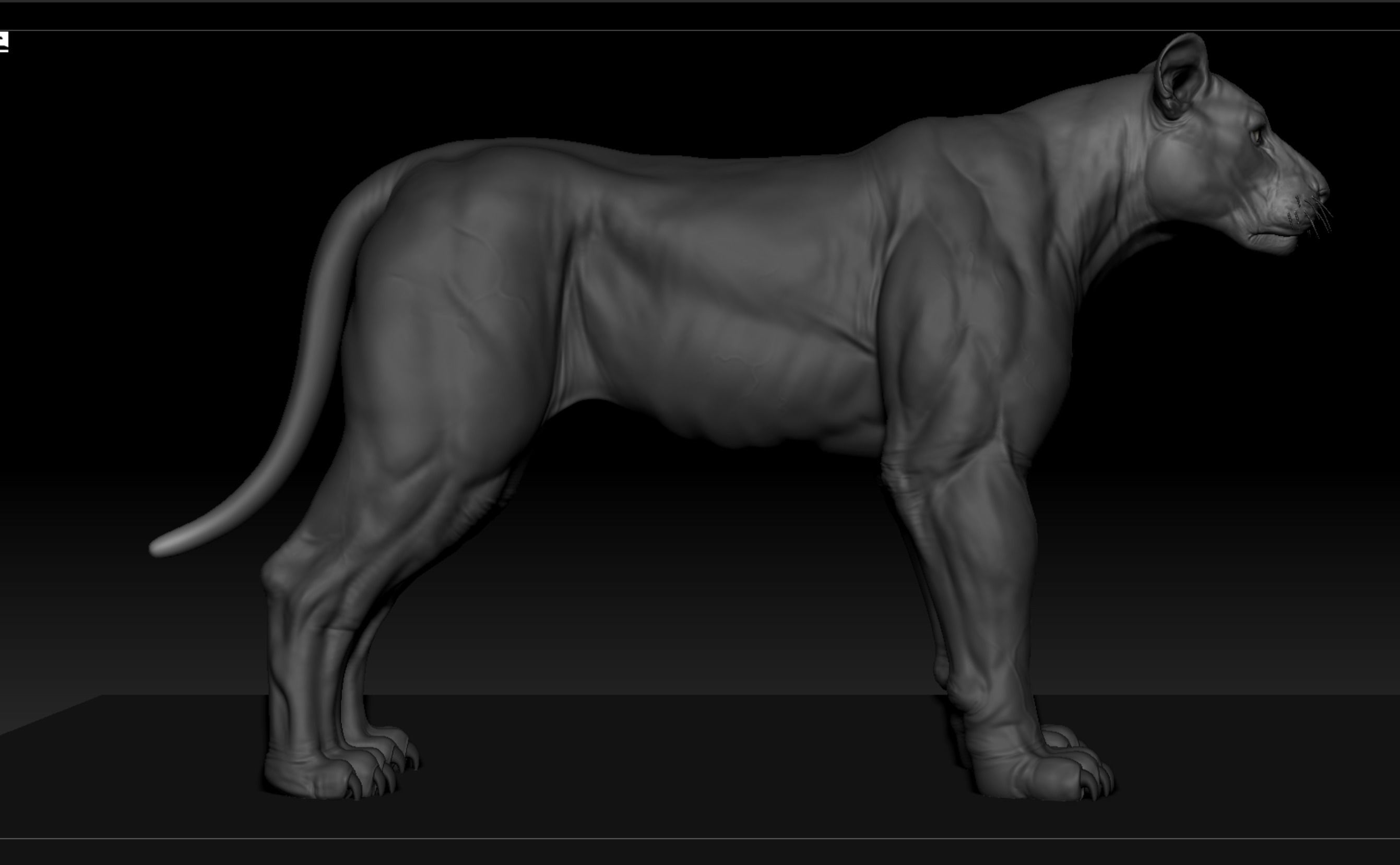 Lion - Highpoly Sculpture 3D model 3D model_8
