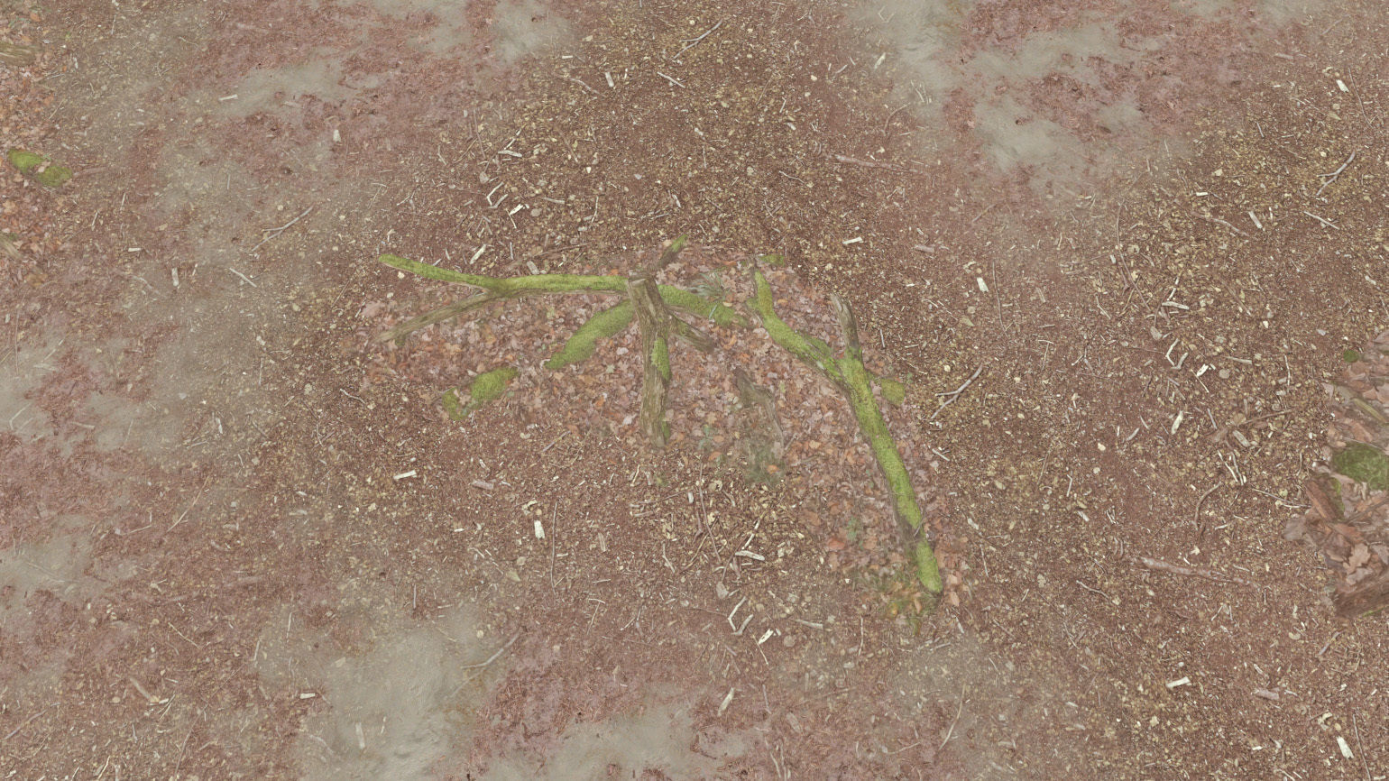 Forest Tree Root D 3D model_17