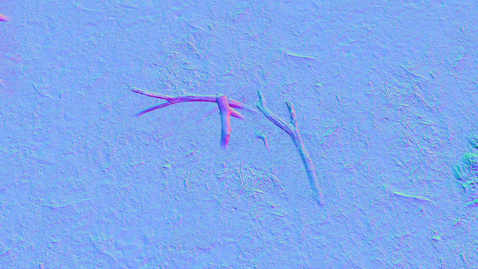 Forest Tree Root D 3D model_16