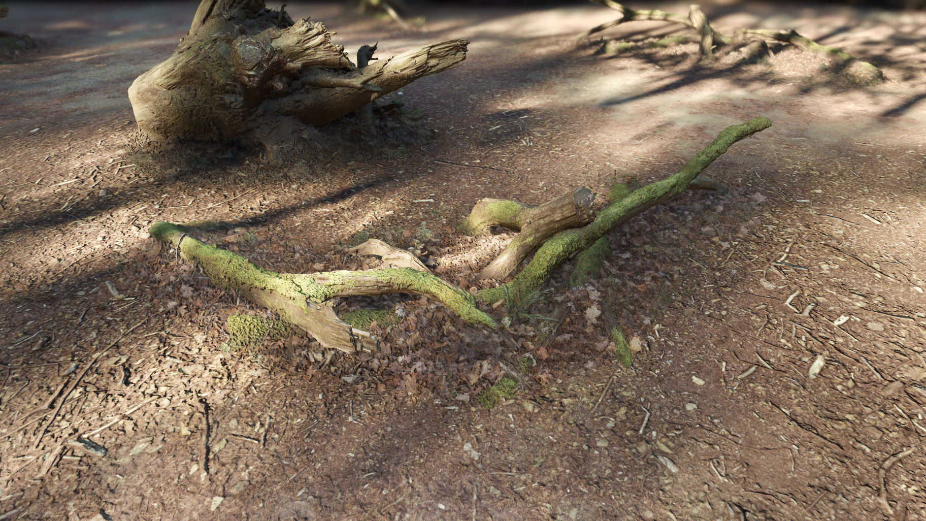 Forest Tree Root D 3D model_5