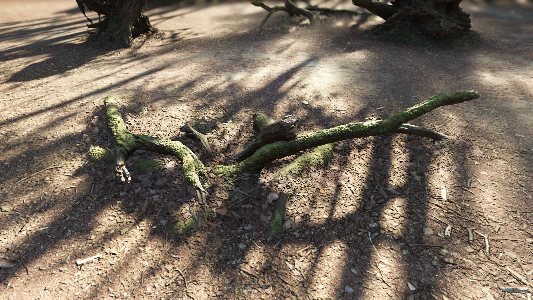 Forest Tree Root D 3D model_26
