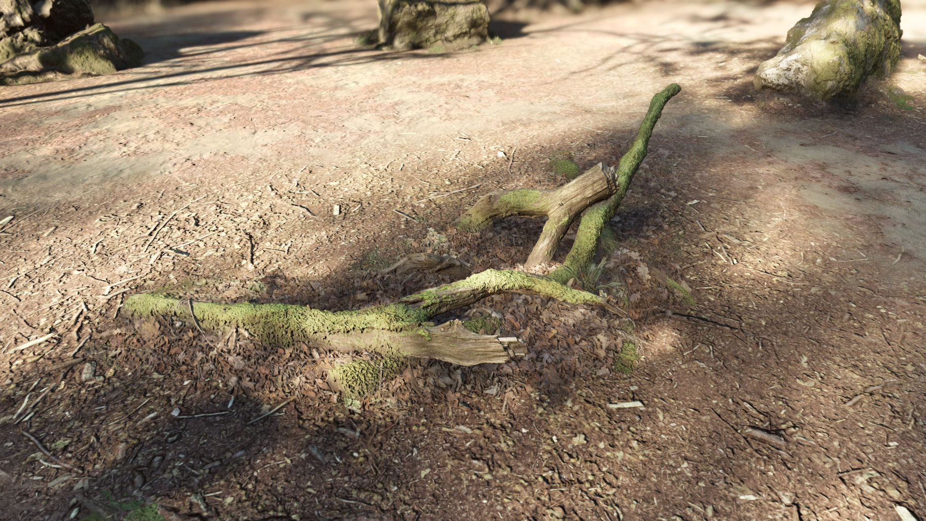 Forest Tree Root D 3D model_1