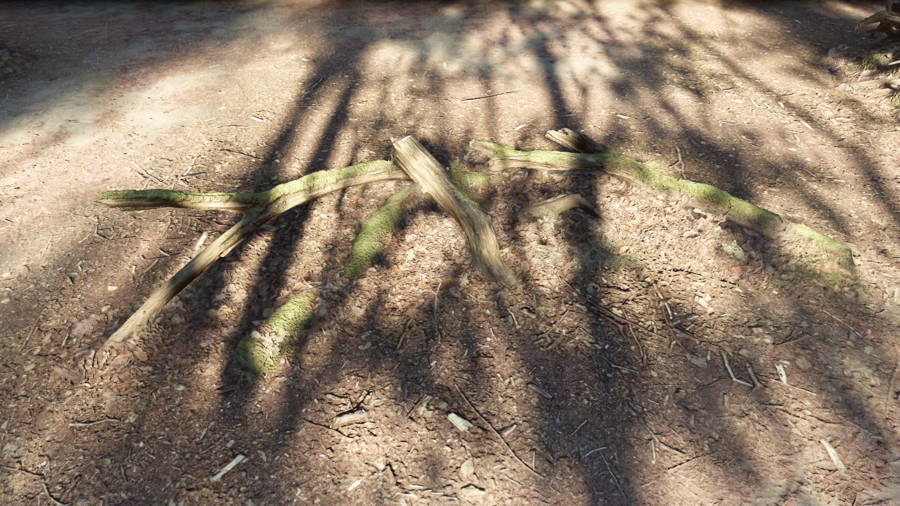 Forest Tree Root D 3D model_23