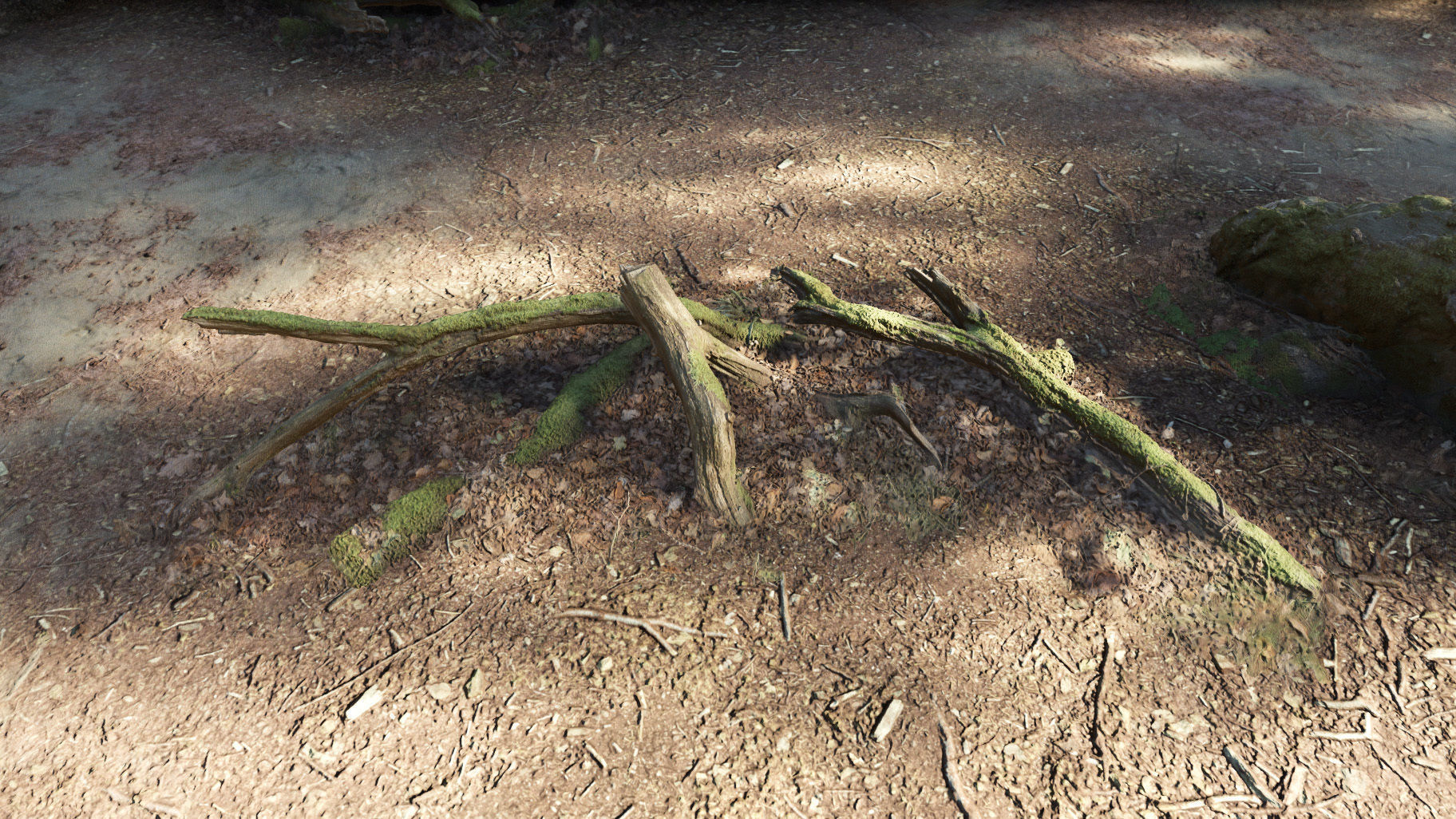 Forest Tree Root D 3D model_3