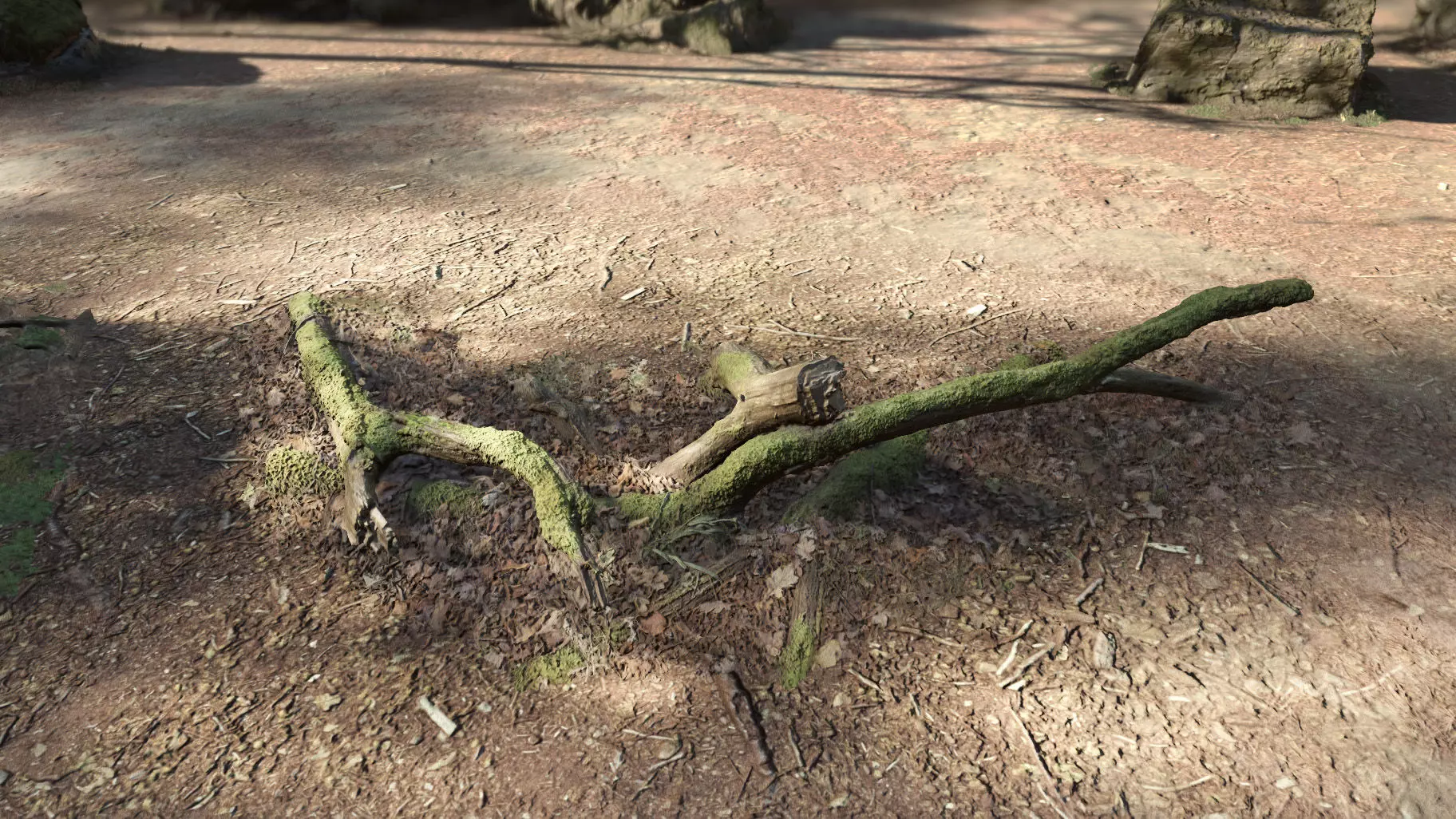 Forest Tree Root D 3D model_0
