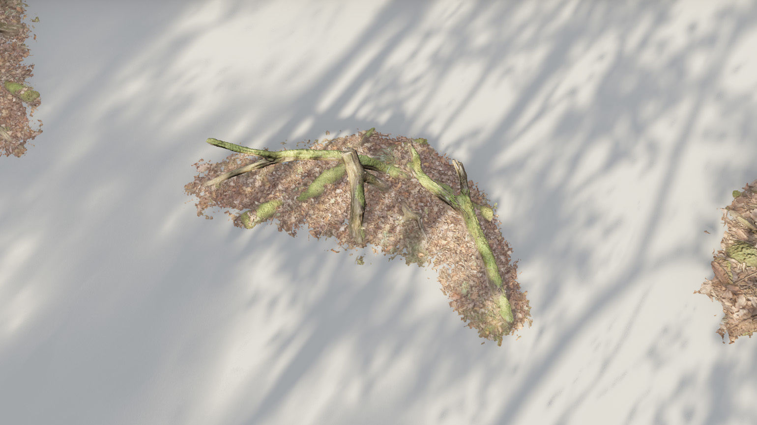 Forest Tree Root D 3D model_19