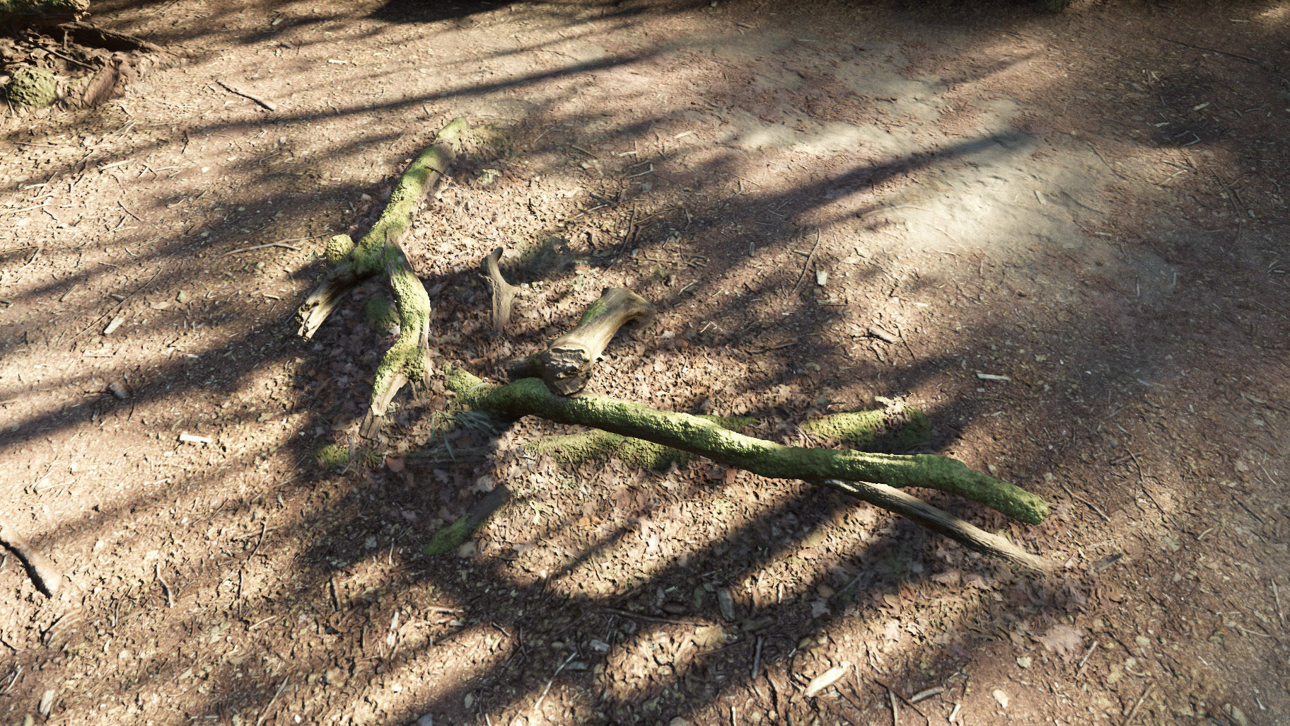 Forest Tree Root D 3D model_25