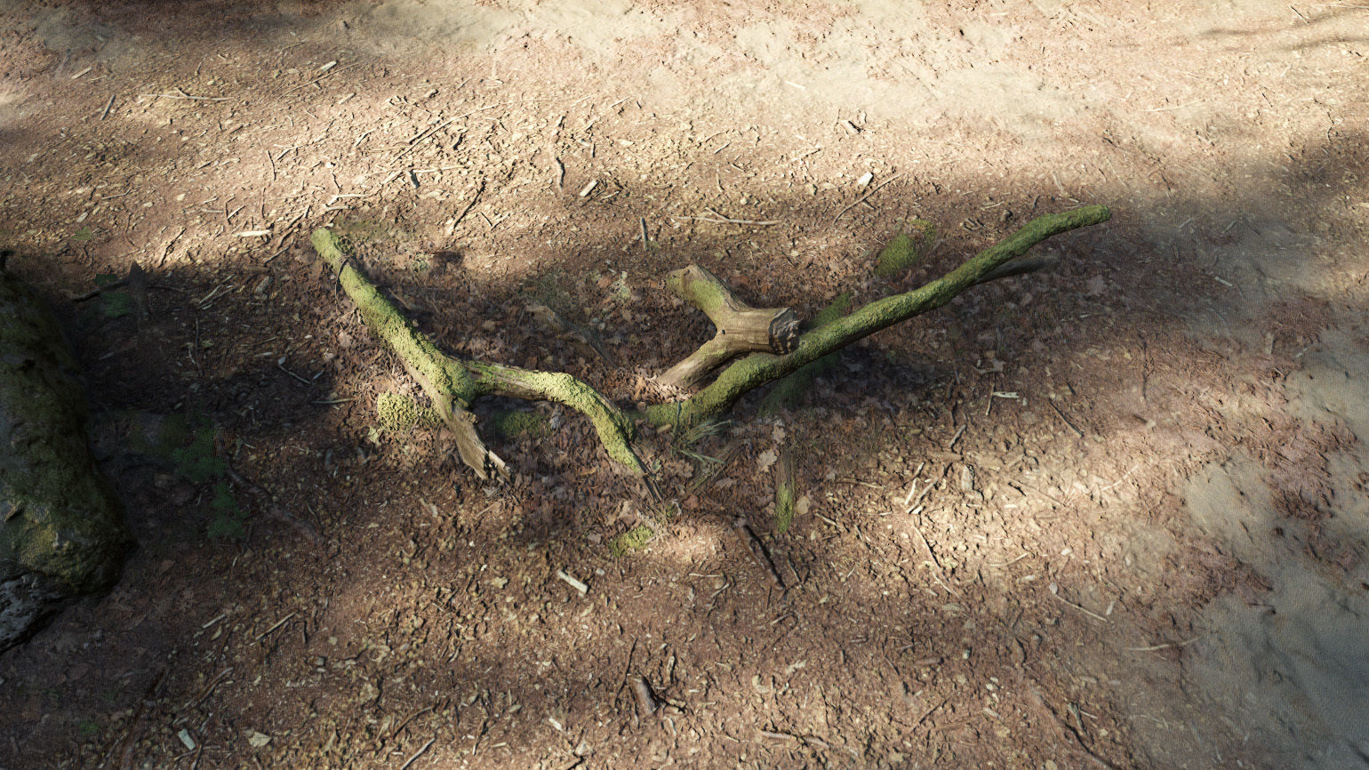 Forest Tree Root D 3D model_10