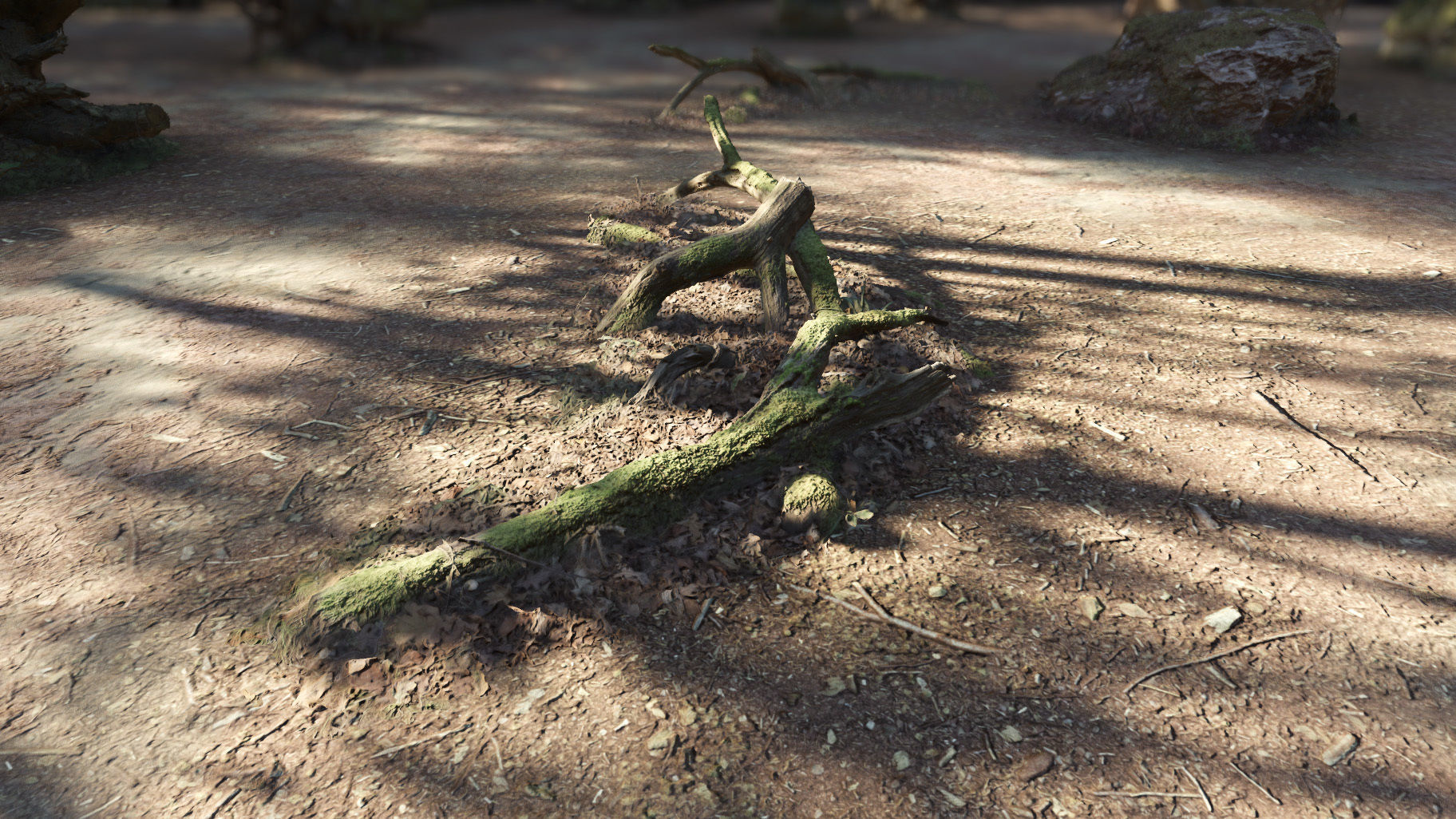 Forest Tree Root D 3D model_21
