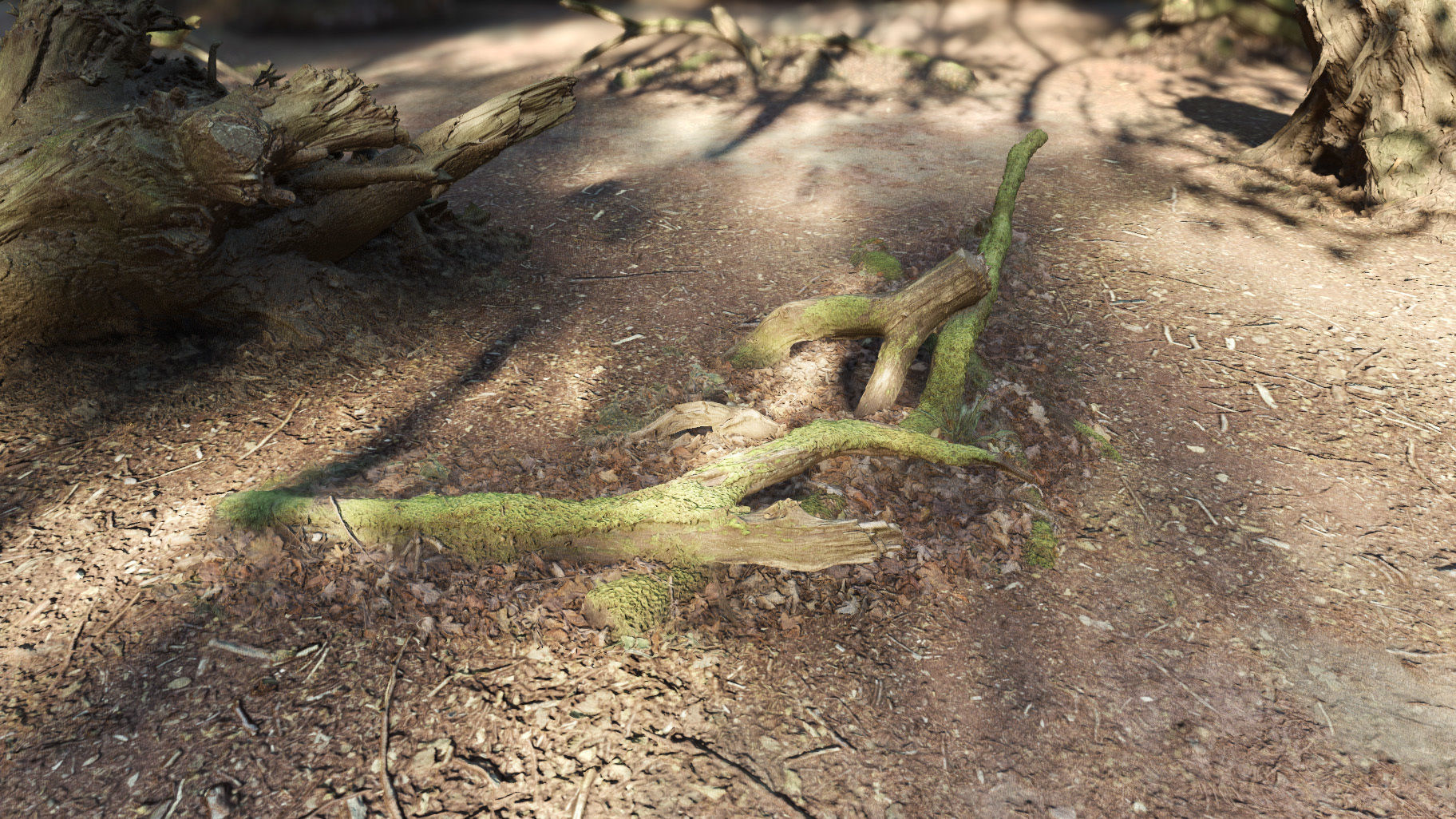 Forest Tree Root D 3D model_6