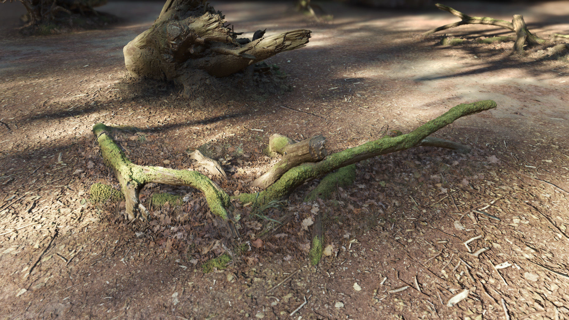 Forest Tree Root D 3D model_9