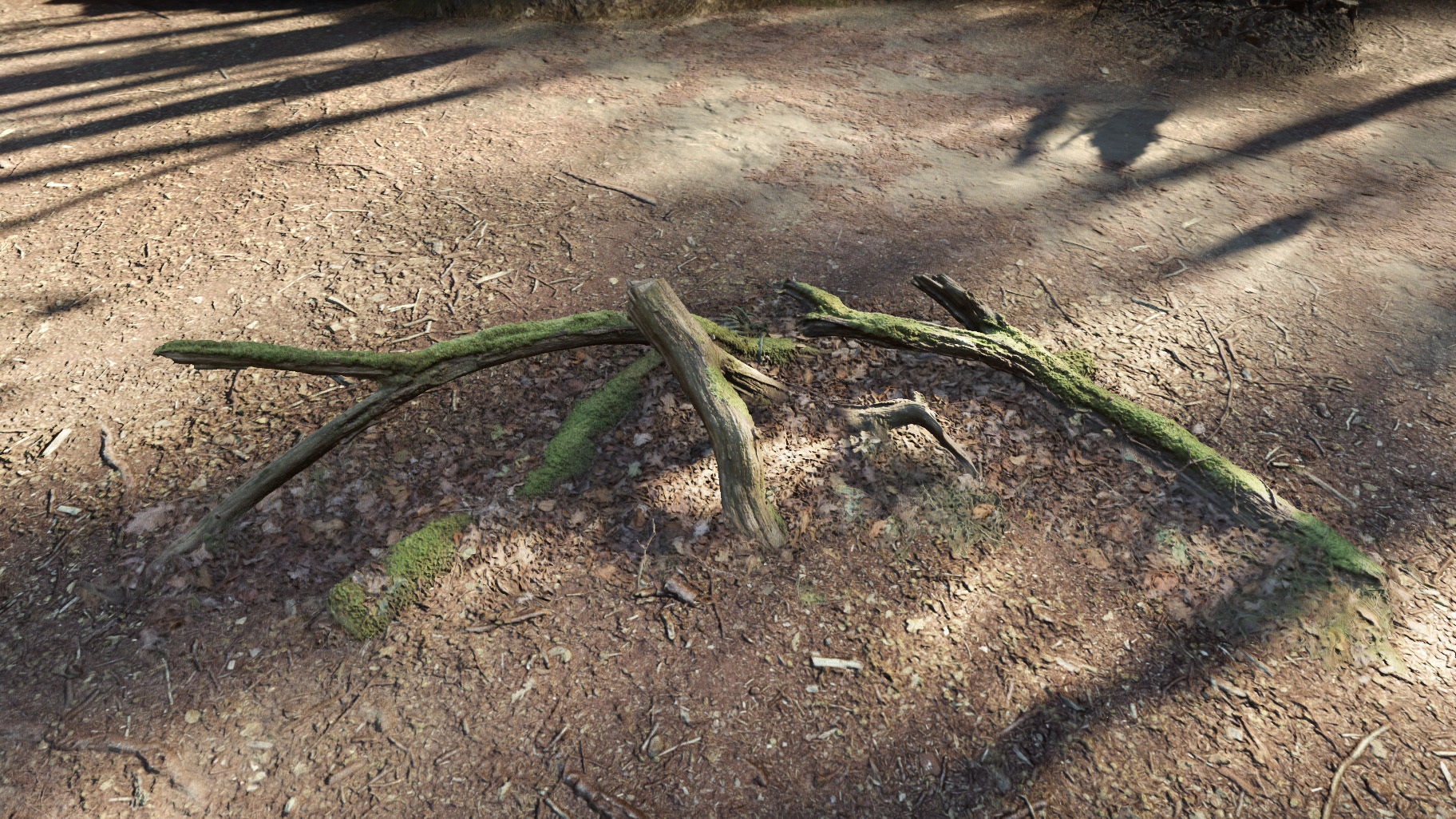 Forest Tree Root D 3D model_8