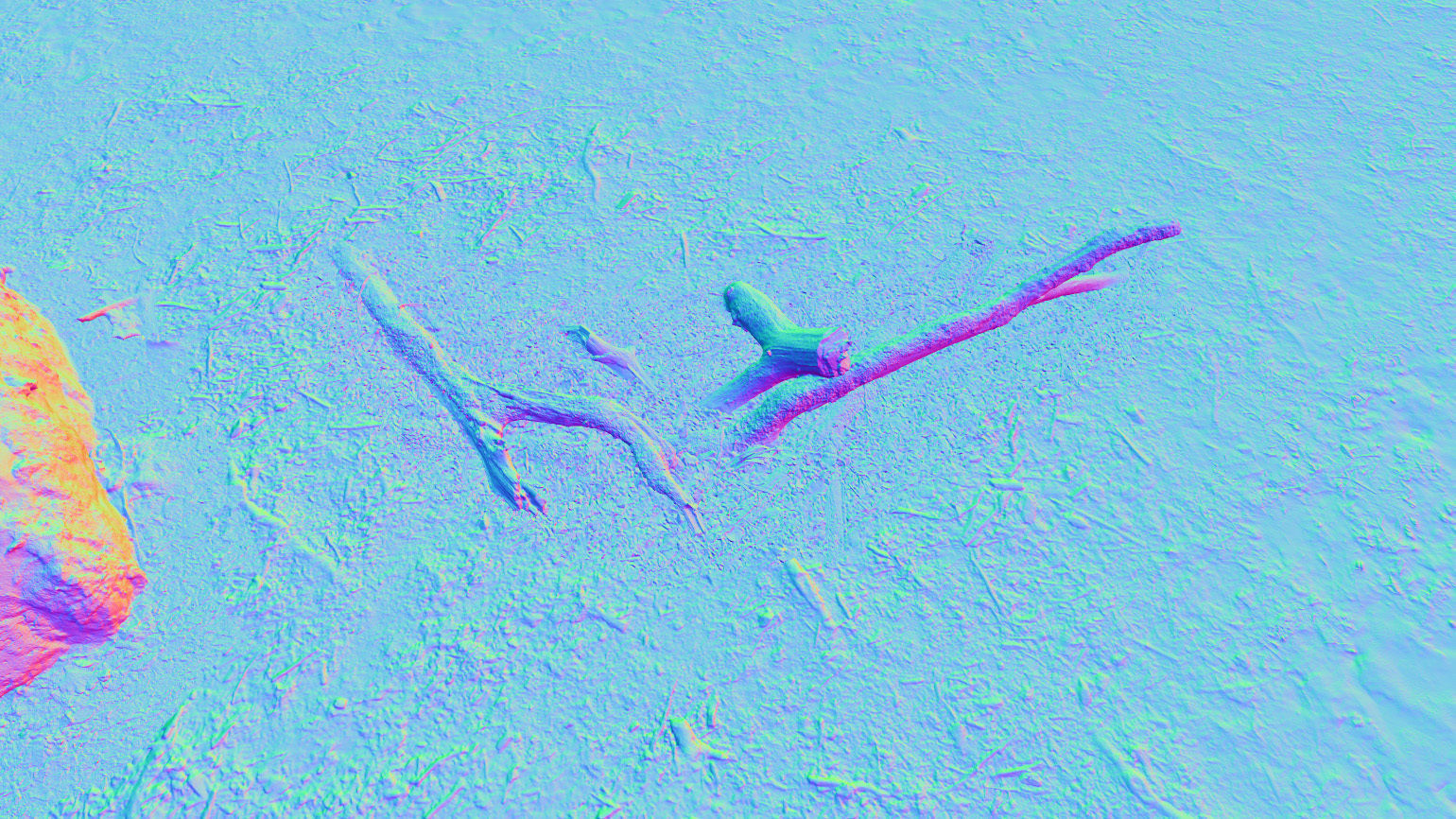 Forest Tree Root D 3D model_11