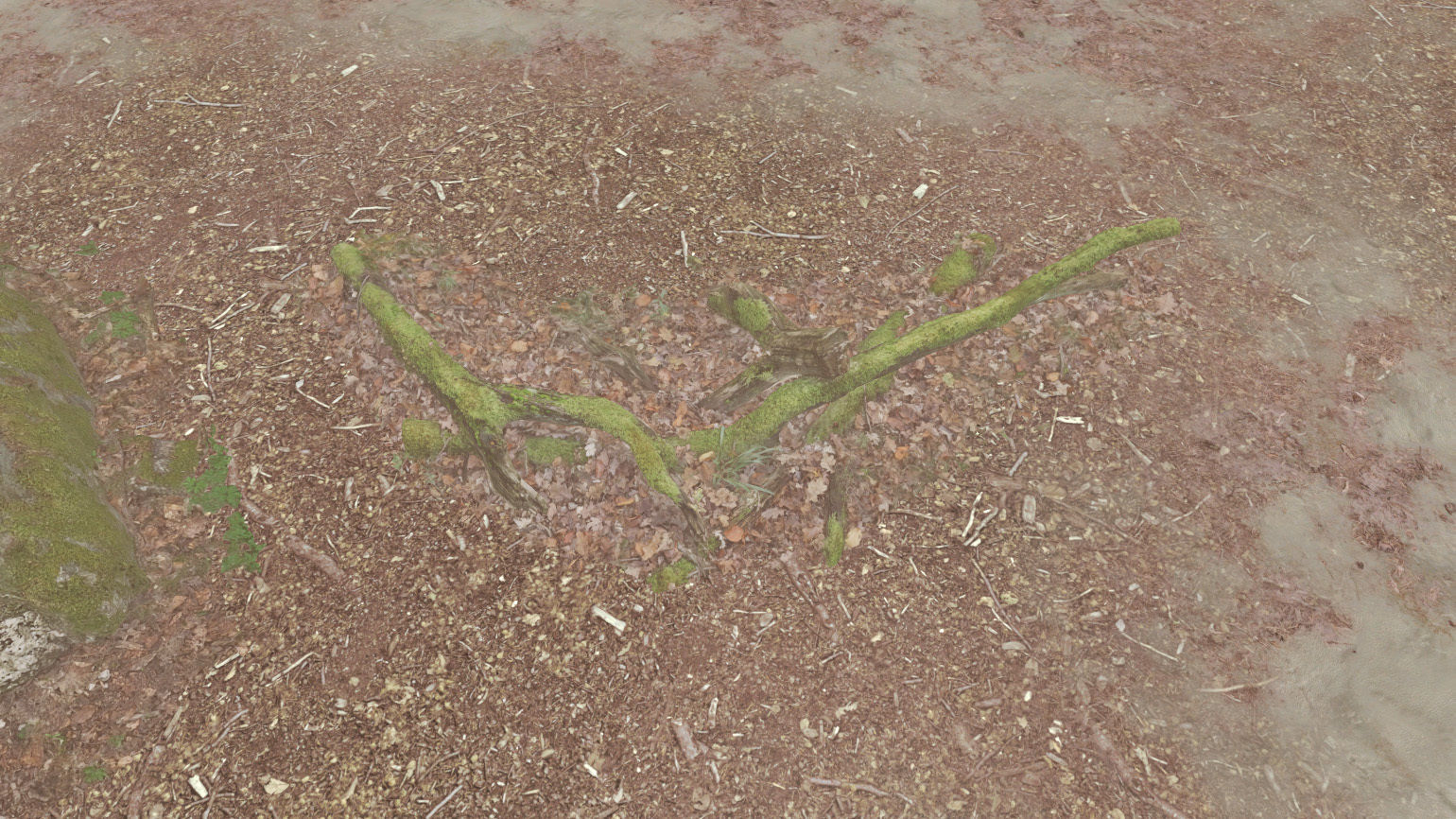 Forest Tree Root D 3D model_12