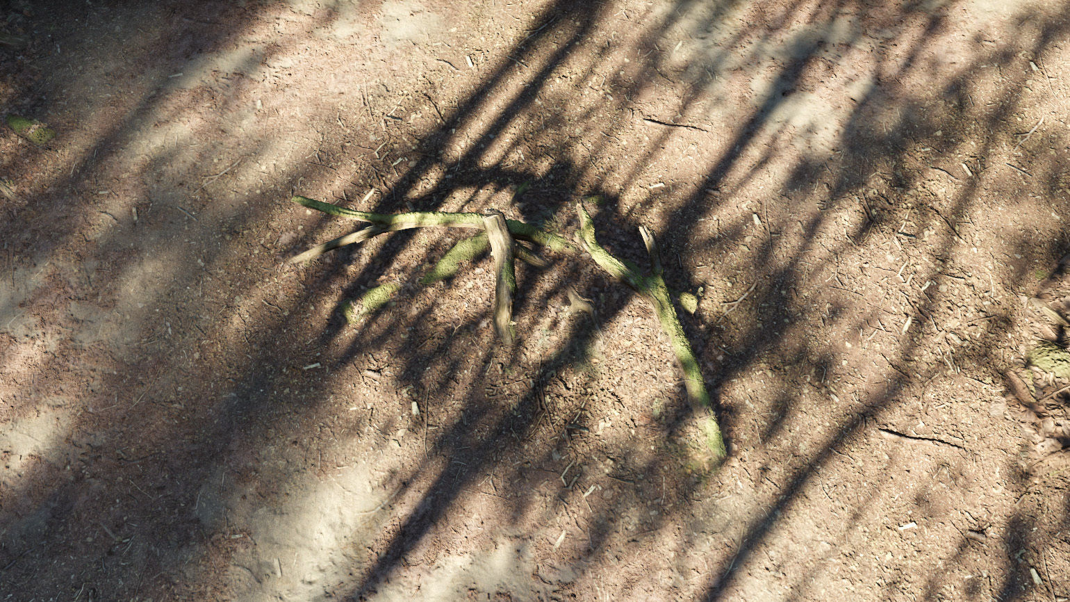 Forest Tree Root D 3D model_15