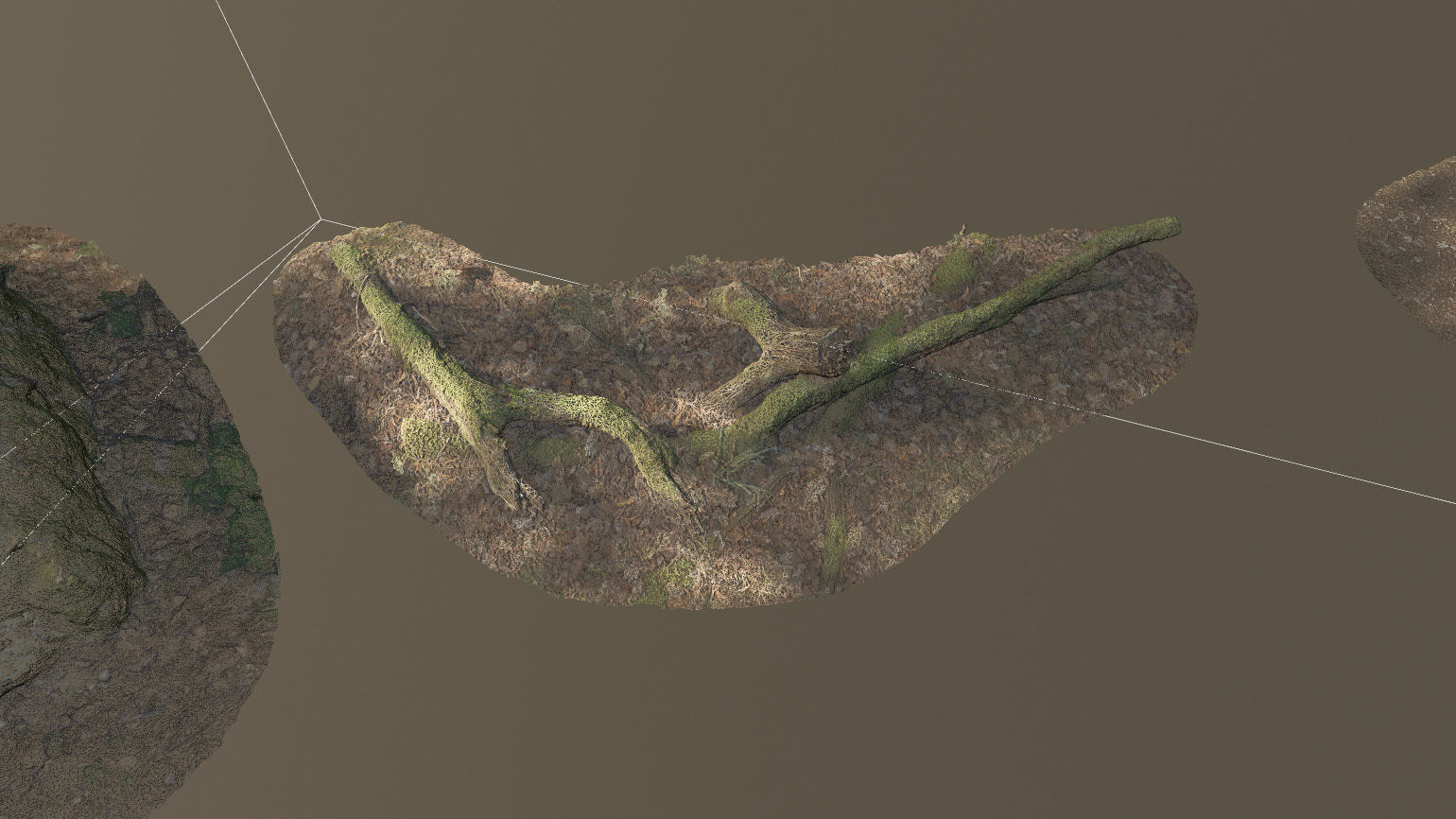 Forest Tree Root D 3D model_13