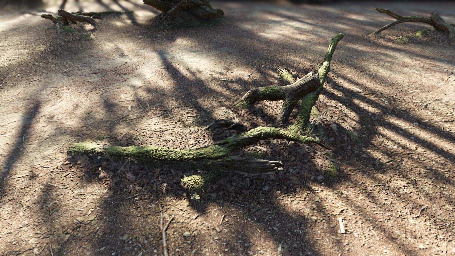 Forest Tree Root D 3D model_20