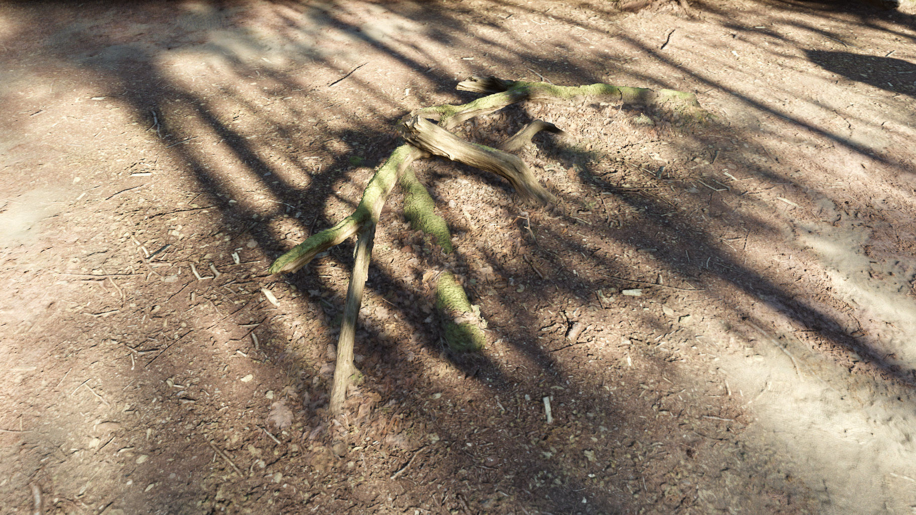 Forest Tree Root D 3D model_24