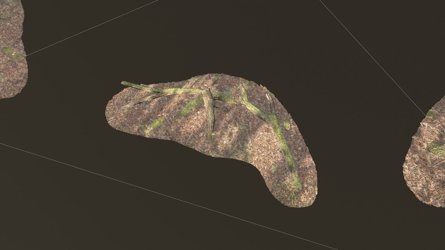 Forest Tree Root D 3D model_18