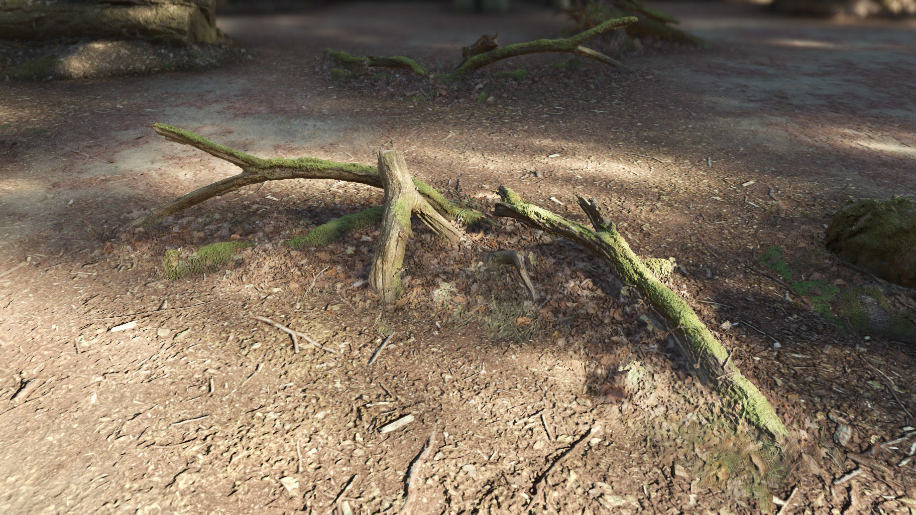 Forest Tree Root D 3D model_4