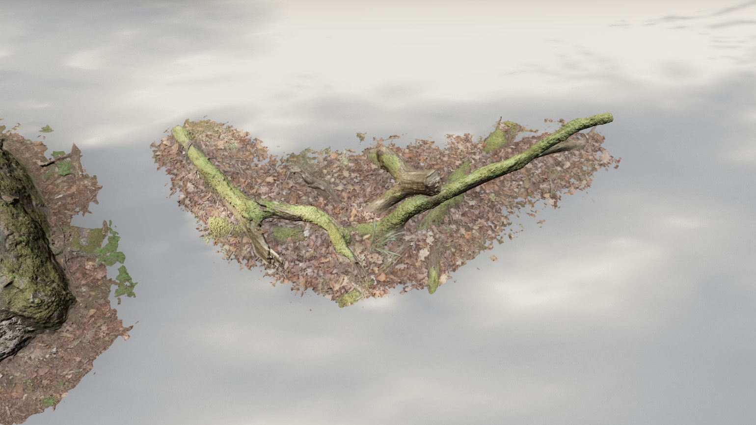 Forest Tree Root D 3D model_14