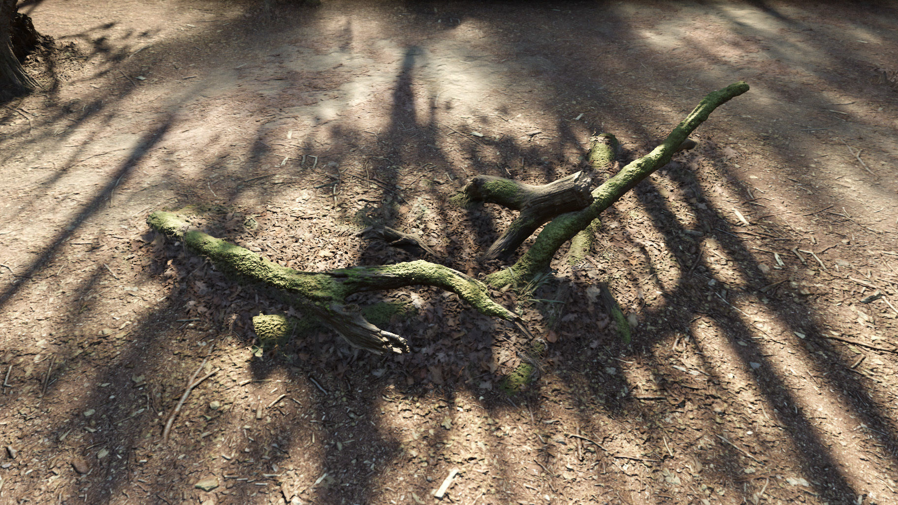 Forest Tree Root D 3D model_27