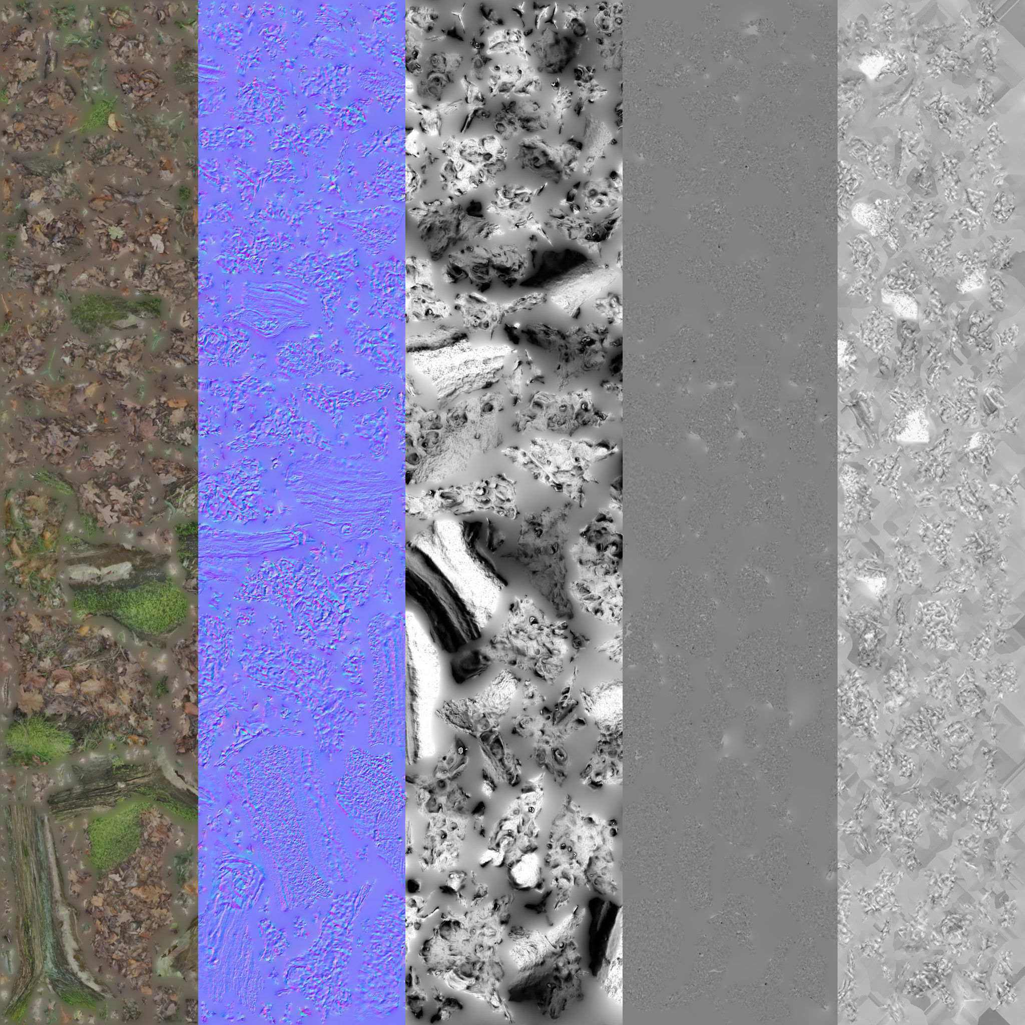 Forest Tree Root D 3D model_28