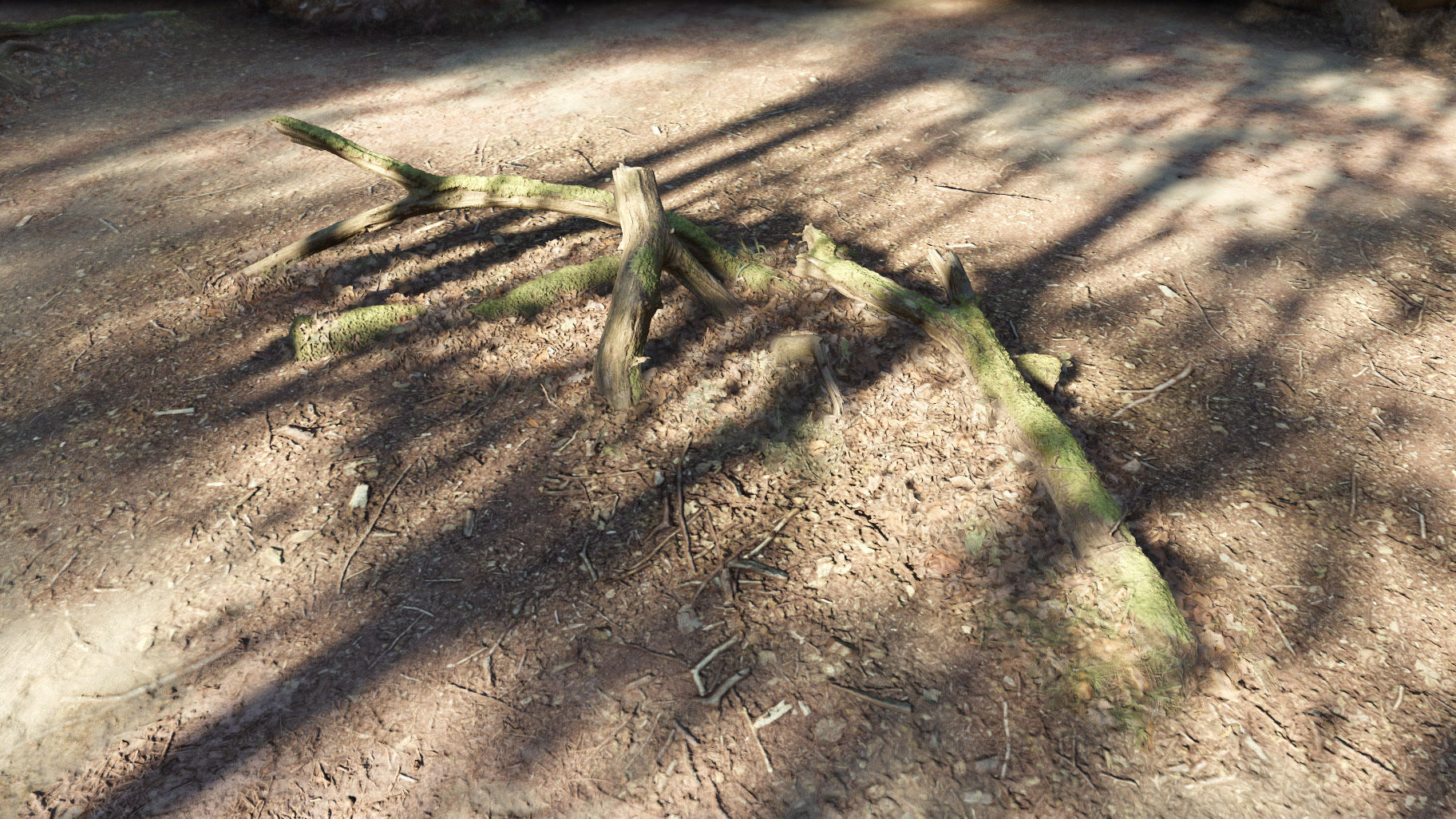 Forest Tree Root D 3D model_22