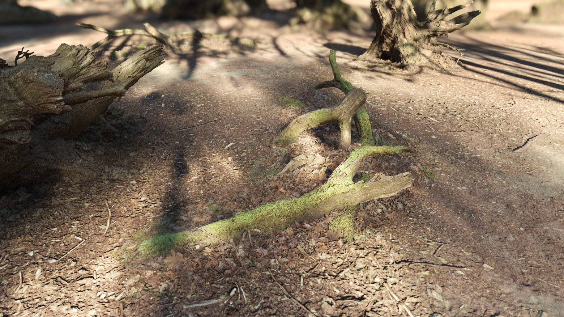 Forest Tree Root D 3D model_7