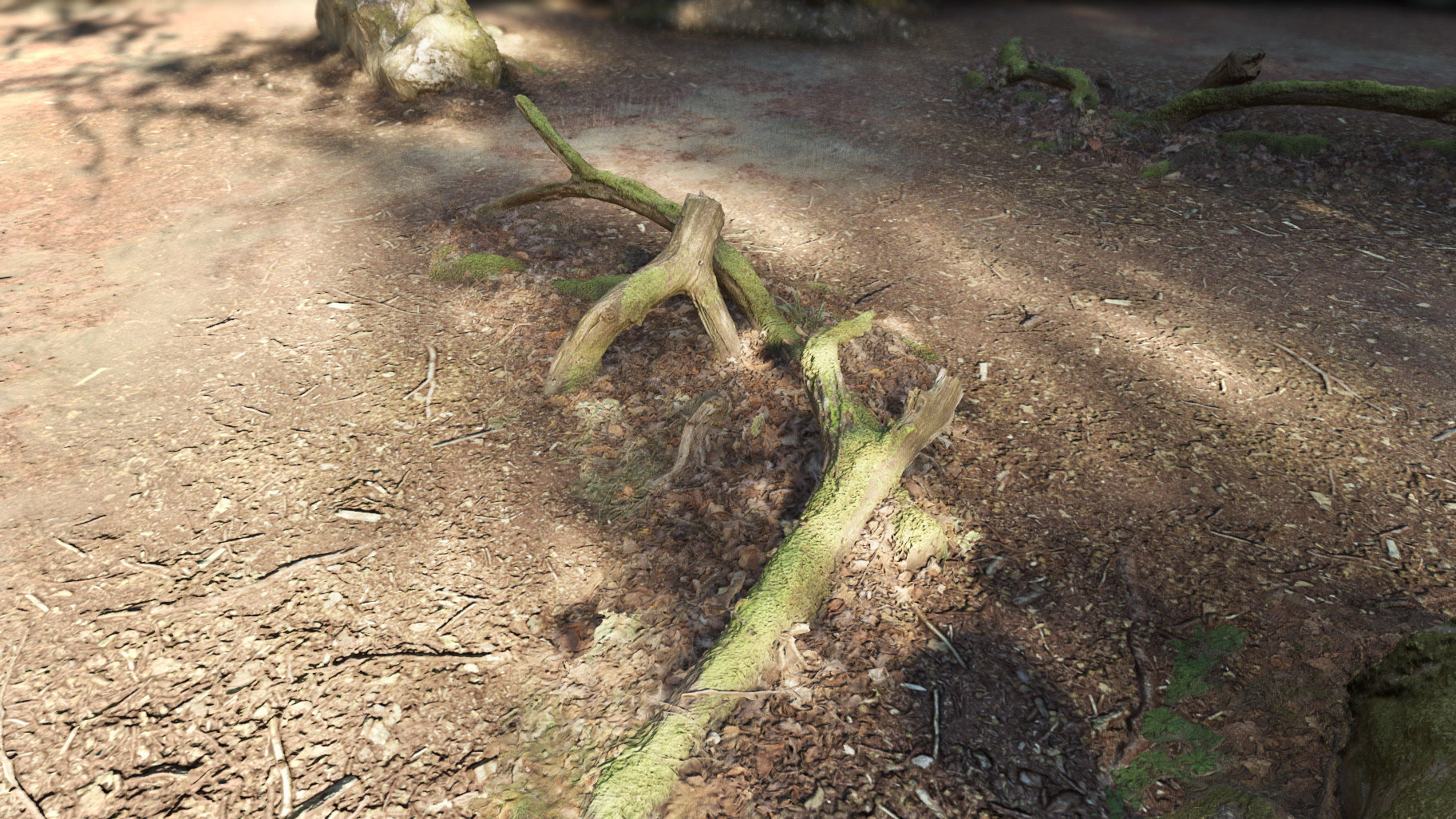 Forest Tree Root D 3D model_2