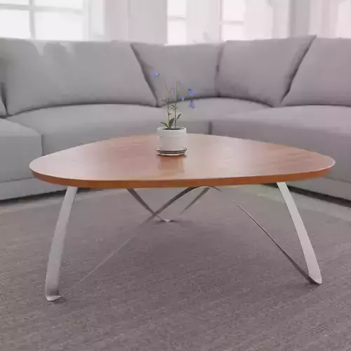 Modern Coffee Table 
