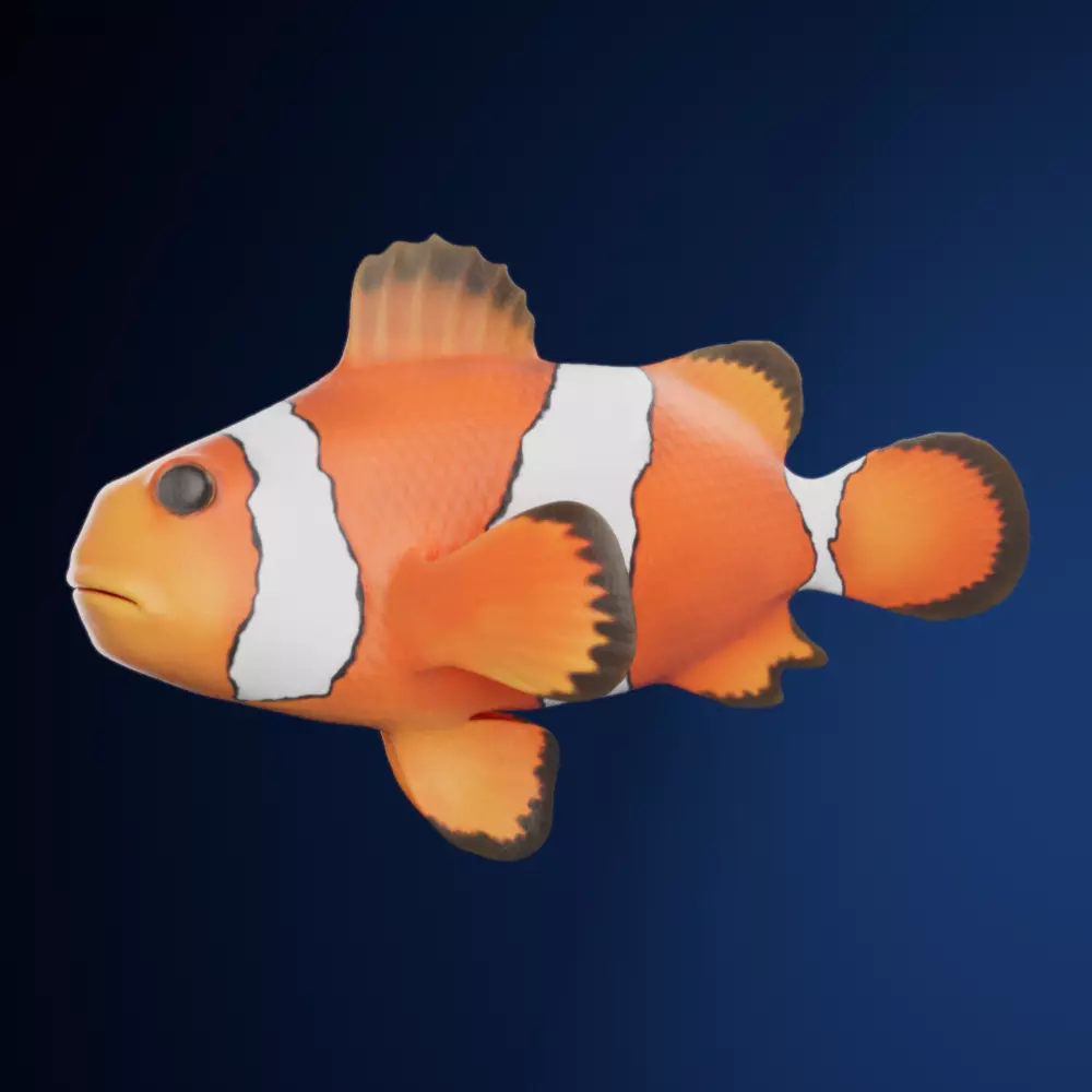 Cute Realistic Animation-Ready Clownfish 3D model_0