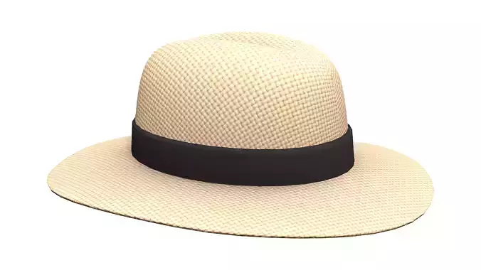 Beige Fashionable Hat