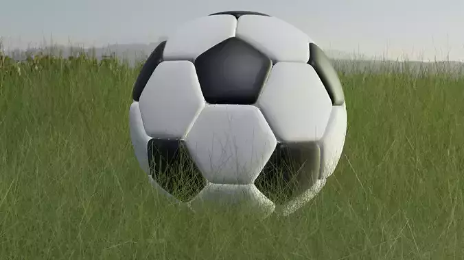 Football soccer ball in grass