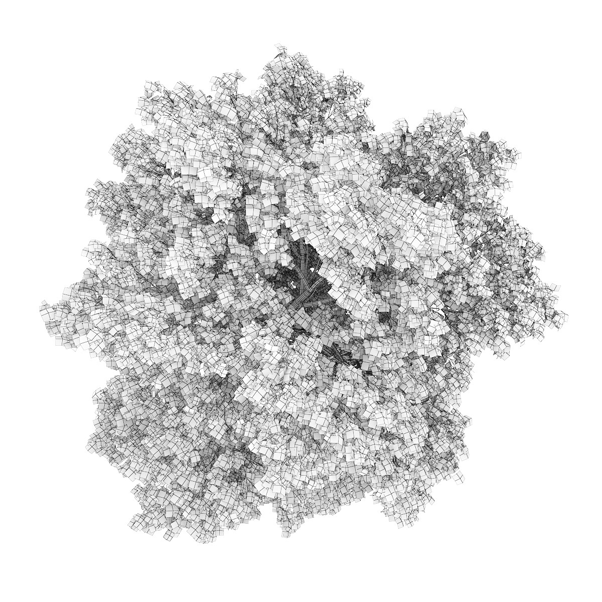 White Ash 3 Fraxinus americana 3D model_2