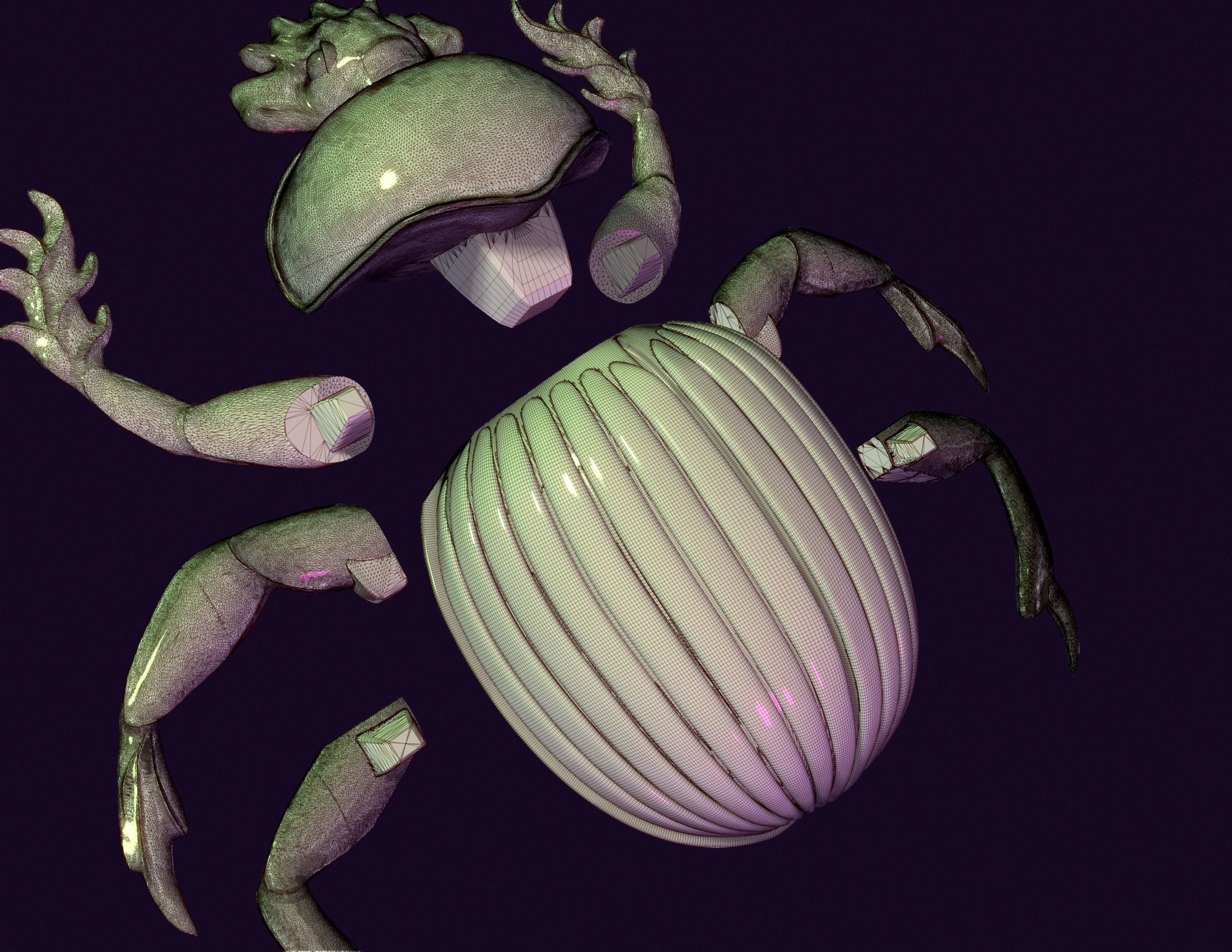 Scarab Beetle Toy 3D print model_12