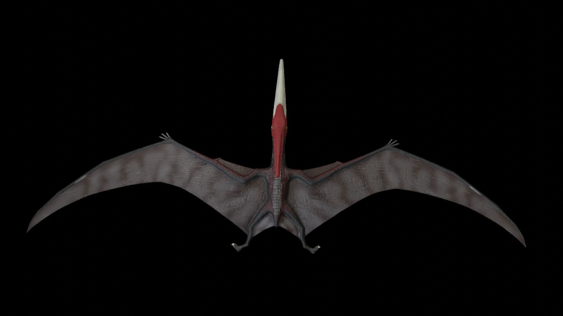 Pteranodon dinosaur with long beak Low-poly 3D model_2