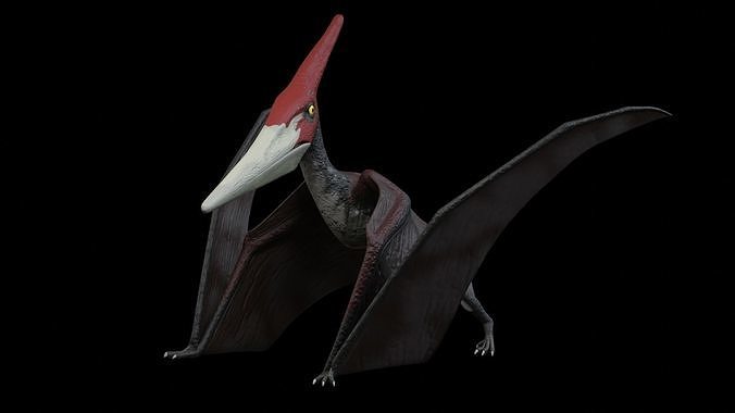 Pteranodon dinosaur with long beak Low-poly 3D model