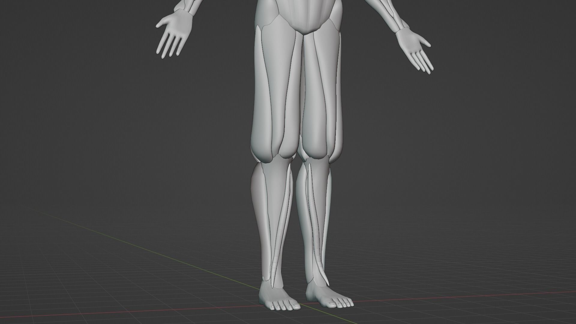 Anatomy of human body 3D model_3