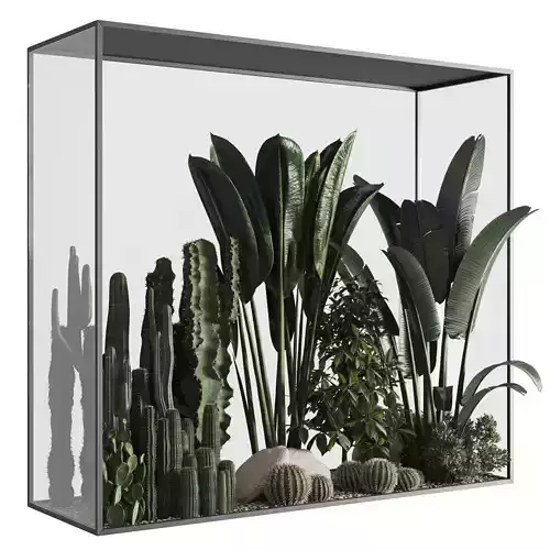 Plants behind glass
