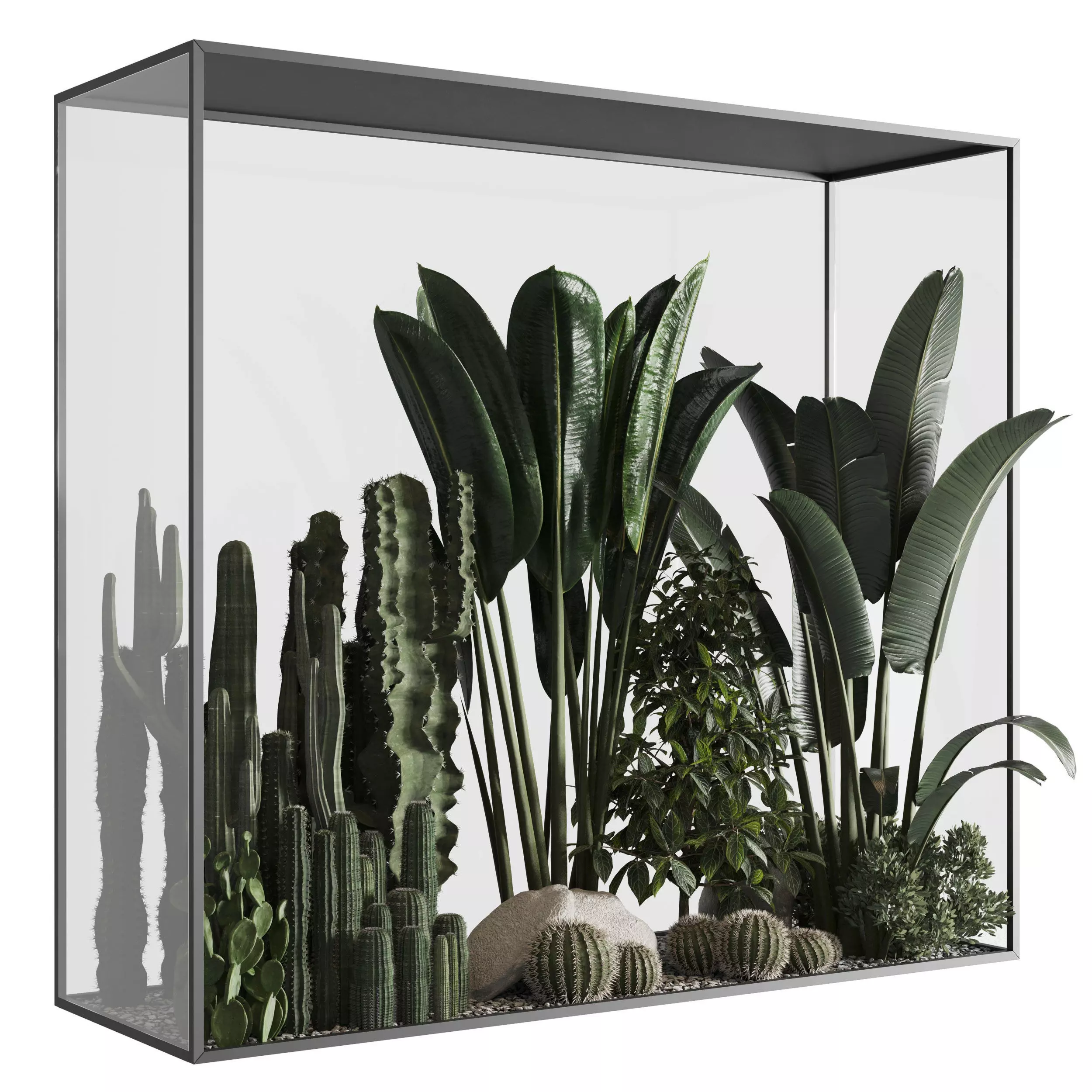 Plants behind glass 3D model