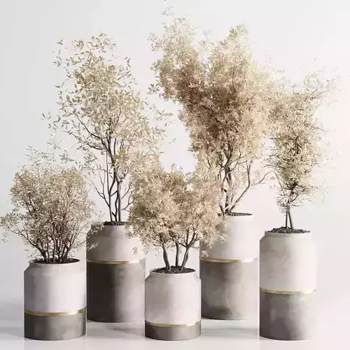 Indoor plant autumn set 304 concrete vase plant tree bush pot
